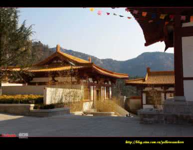 招虎山成道禅院 招虎山成道禅寺