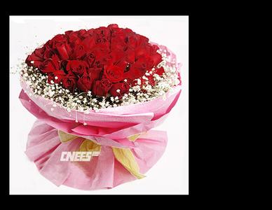 纯洁的爱 玫瑰—纯洁的爱(图)