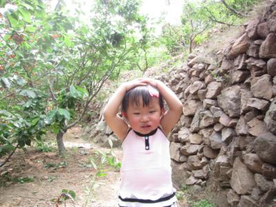 爬山带点什么吃的 爬山带点什么吃的呢