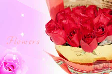 玫瑰花语每朵代表什么 19朵玫瑰花语 19朵玫瑰花语 19朵玫瑰代表什么