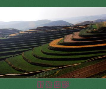 在希望的田野上 在希望的田野上 在希望的田野上