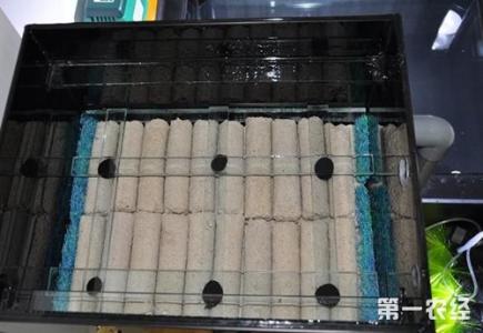 细菌屋 水槽过滤细菌屋 细菌好烦人！不锈钢水槽如何清洁保养？