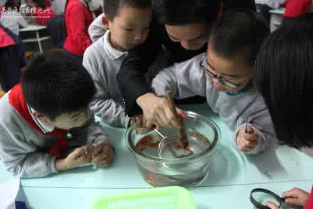 有效的课堂提问策略 有效的课堂提问策略 小学科学探究式教学中的课堂提问策略分析