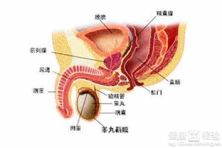 前列腺吃什么药最管用 吃什么对前列腺好