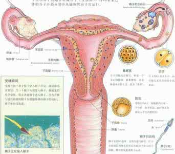 发现自己竟然是女性 女性发现自己阴部周围发黑怎么办