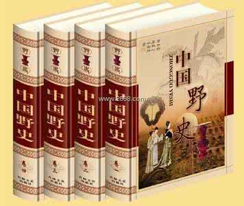 中华野史全集 中华野史·集页