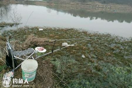 水底有水草怎么钓鱼 什么样的水草边好钓鱼 如何挖出适合钓鱼的草洞