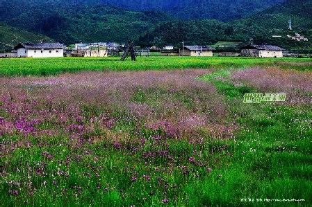 夏天真美呀作文500字 夏天真美100字
