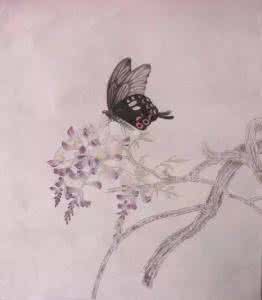 枪神纪紫藤镇工程卡空 枪神纪紫藤镇卡空步骤 刘金保《紫藤蝴蝶》绘画步骤