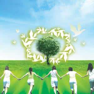 环保壁纸有哪些品牌 环保壁纸有哪些？如何选择环保壁纸？