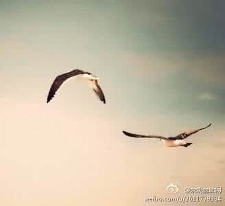 就该把地平线忘掉 如果想飞得高，就该把地平线忘掉