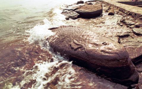 双鱼石鱼测水涪陵 涪陵石鱼