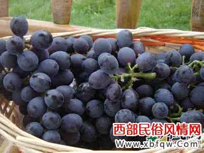 孕妇梦见葡萄 孕妇梦见洗葡萄 孕妇梦见葡萄