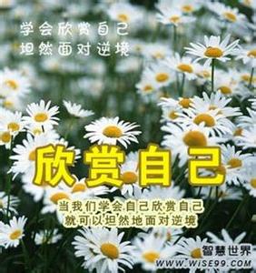 歌词多少风雨多少坎坷 【心态越平，坎坷就越少】