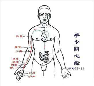 手少阴心经经络图 漫画中医经络--手少阴心经