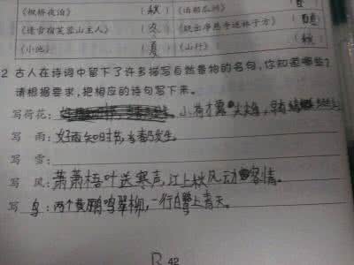 描写雪的诗句 有关写雪的诗句整理