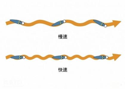 路亚钓法怎么钓翘嘴 路亚钓法操作步骤及抛投技巧