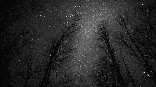 租来房子也要活出质感 活出人生好质感