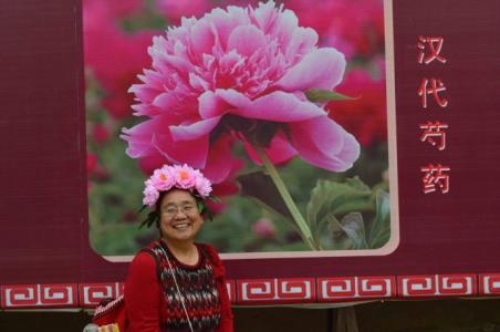 刘姥姥进大观园 刘姥姥进大观园，超多花朵~~