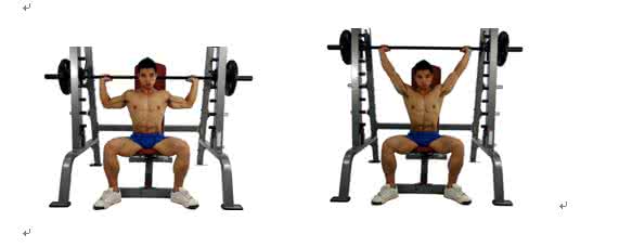 坐姿杠铃推举 杠铃推举 学肩部运动-坐姿杠铃前推举
