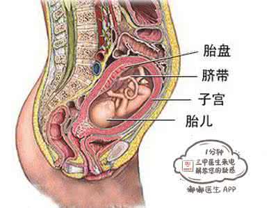 胎盘片适合什么人吃 人胎盘片经期可以吃吗?