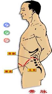 敲带脉治便秘 敲带脉敲出油便