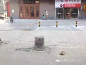 肉肉植物的养殖方法 血的教训：养了多年肉肉的我，为何在这个夏天大败而归