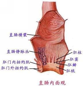 痔疮坐浴疗法 湔痔散坐浴疗痔100例