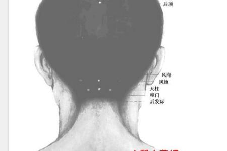 心俞穴 肾 俞 穴