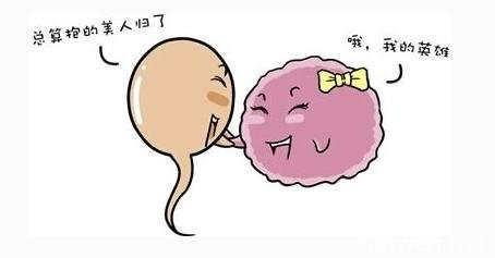 怀孕死胎的原因 怀孕初期死胎的原因