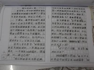 关于战争的作文350字 动物战争作文350字