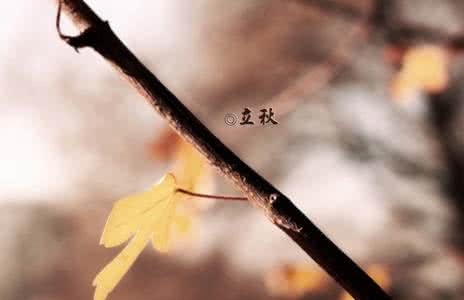春季养生要点 立秋养生要点