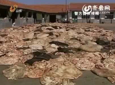 明星大侦探2046 山东一年侦办食品安全案件2046起