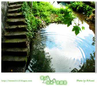 网王之忘记忧愁的明天 别预支明天的忧愁