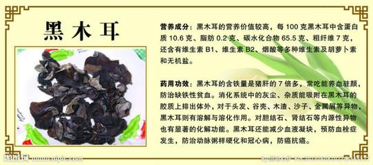 木耳的营养价值及功效 木耳的营养价值及功效 木耳的功效及营养分析
