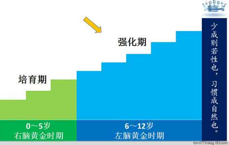 胎儿智力发育关键期 童教三：儿童智力发育的关键期和强化期