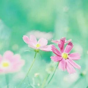 青春已逝情怀不老 有些情怀永远不老