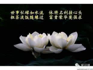 粗茶淡饭 粗茶淡饭随缘过（八）