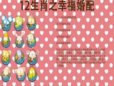 李居明十二生肖大揭秘 十二生肖幸福婚配大揭秘