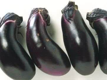 生吃茄子能减肥吗 减肥的误区 生吃茄子真能减肥吗