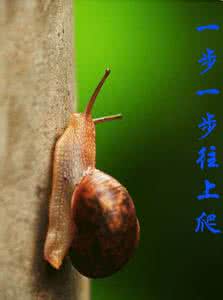 除了坚强别无选择 一无所有让我选择了坚强