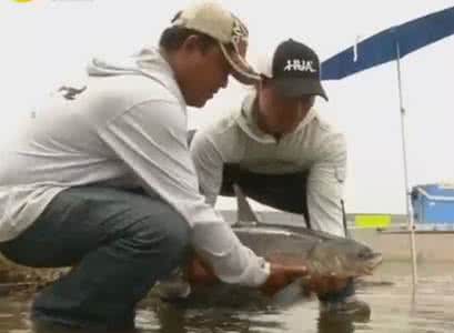 《垂钓学院》 第二季 第13集 夏钓湖北（四）尝试包食钓法