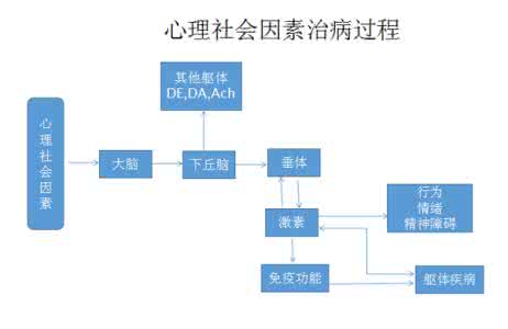 心身疾病的诊治及预防 心身疾病的致病因素 如何预防心身疾病