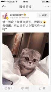 微博怎么移除粉丝 猫呼怎么移除粉丝