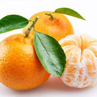 橙皮茶 生姜橙皮茶助中老年人有效降血脂