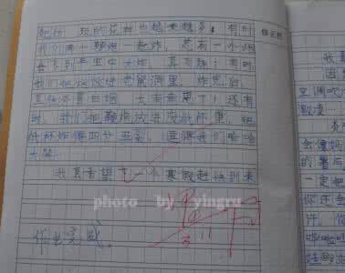 四年级作文寒假趣事 寒假趣事作文400字 四年级作文寒假趣事