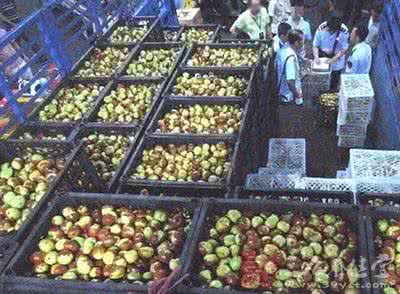 糖精枣 “糖精枣”现身济南街头 用眼睛和舌头辨别