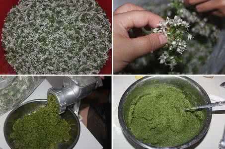 韭菜花的腌制方法 我们了解吗：如何腌制韭菜花 韭菜花的腌制方法