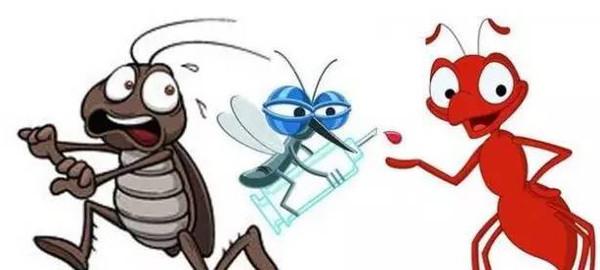 蚂蚁吃蚊子 【生活诀窍】蚂蚁蚊子小强已不住我家! 100%见效！