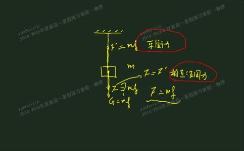 平衡力和相互作用力 初二物理 相互作用力与平衡力 易混淆知识点专练